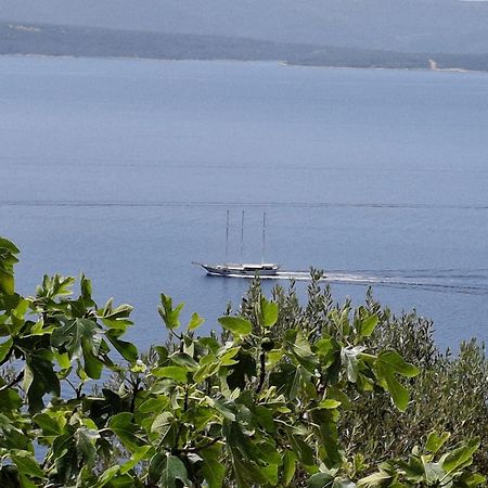 Apartment Irena Μπολ Εξωτερικό φωτογραφία