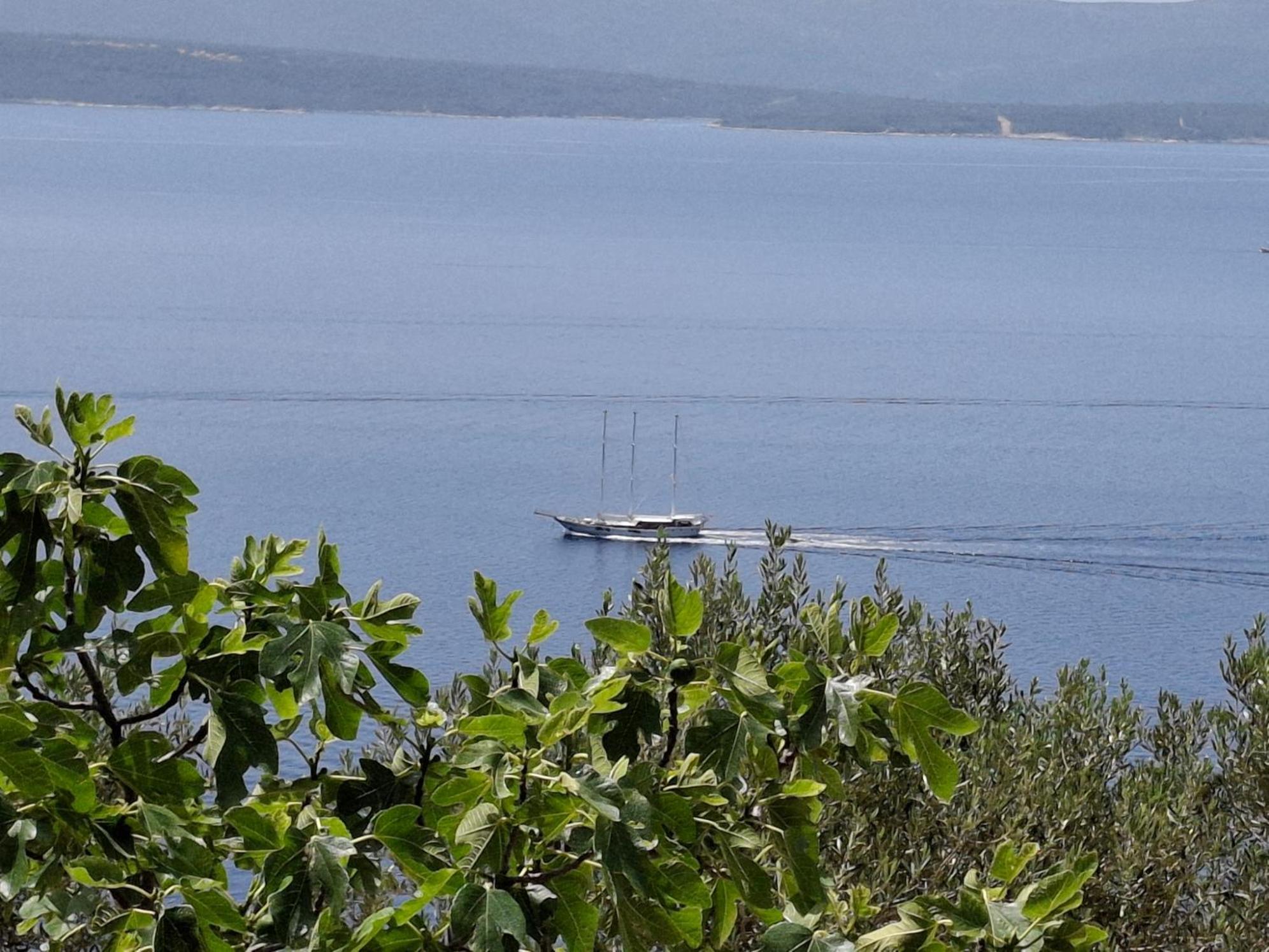 Apartment Irena Μπολ Εξωτερικό φωτογραφία